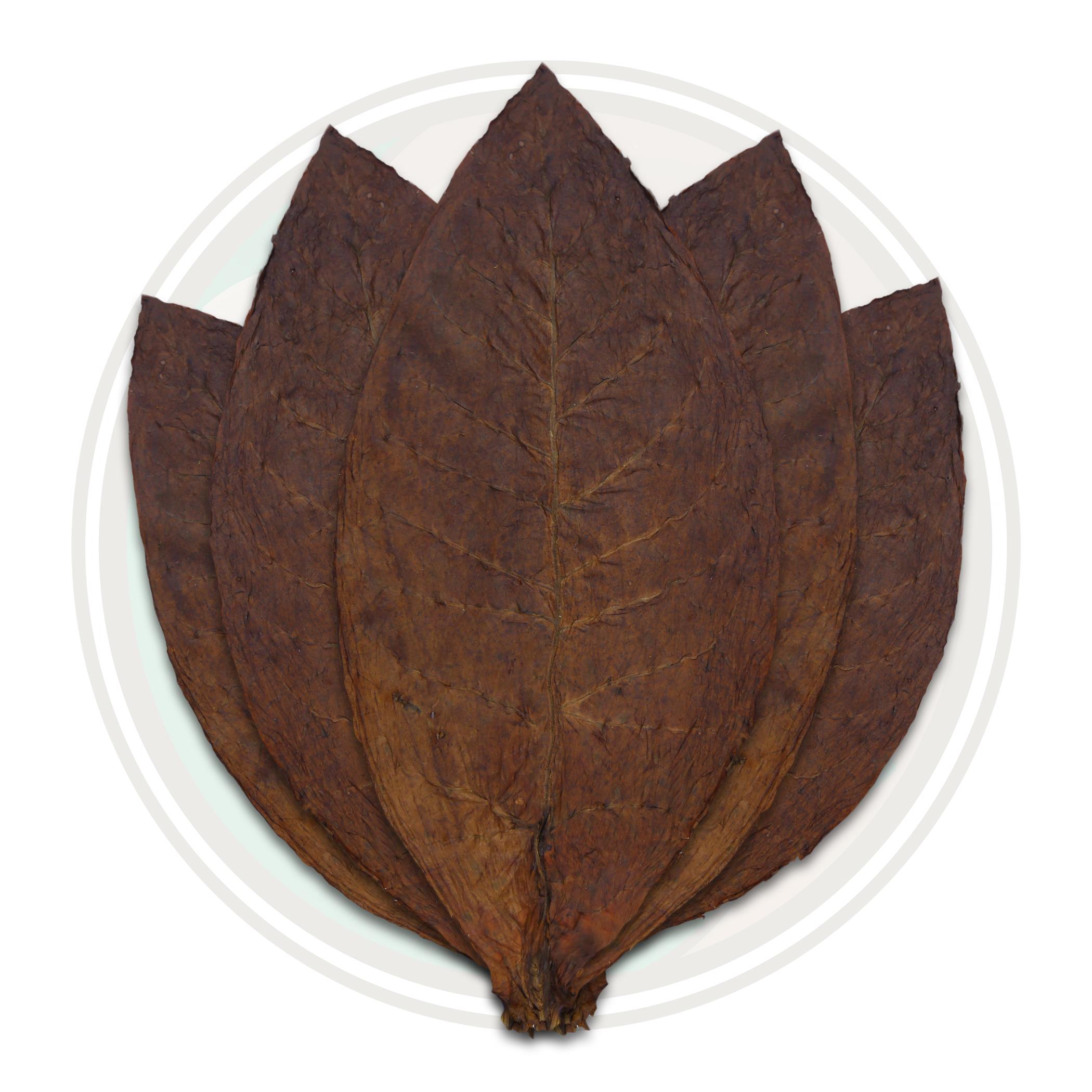 Colombian Cigar Binder Whole Tobacco Leaf Colombian Cigar Binder Whole Tobacco Leaf